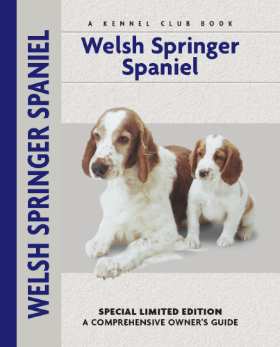 Welsh Springer Spaniel